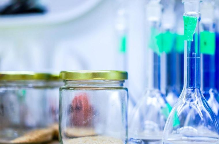 Nuevo instituto madrileño de investigación sobre alimentación y salud
