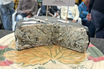 Nuevo récord Guinness, 37 000 euros por el queso Cabrales ganador del certamen anual