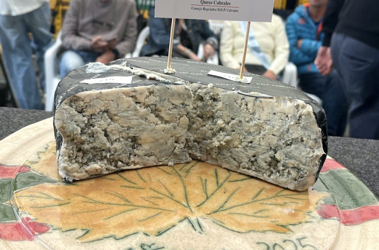 Nuevo récord Guinness, 37 000 euros por el queso Cabrales ganador del certamen anual