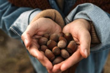 Proyecto Plantas Olvidadas, nuevos alimentos a partir de frutos silvestres