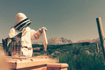 Un proyecto que combina apicultura y apiturismo Foto Apis in Love