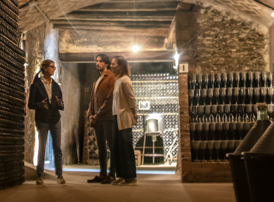 El impacto económico, en cifras, del enoturismo en las Rutas del Vino