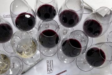 La añada 2024 de Ribera del Duero, calificada como Muy Buena (foto DOP)