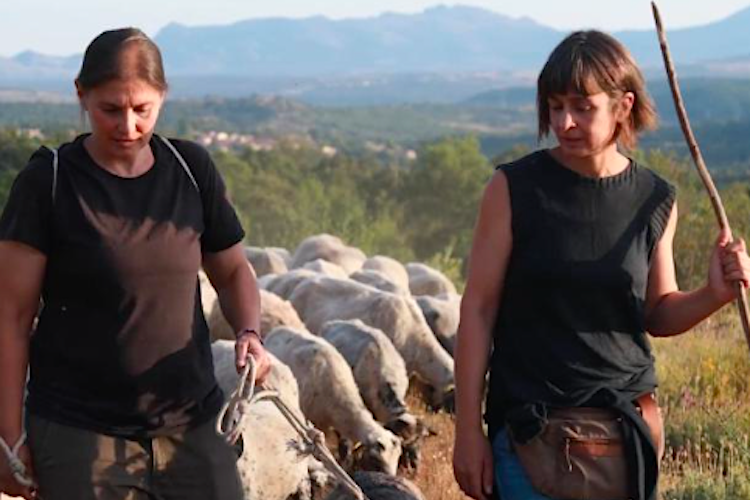 Las películas que podremos ver en el Ciclo Nacional de Cine y Mujeres Rurales (Foto El legado de las pastoras)