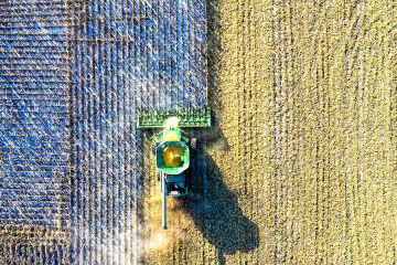 Los datos agrarios, pesqueros y alimentarios, analizados desde la perspectiva económica, social y medioambiental