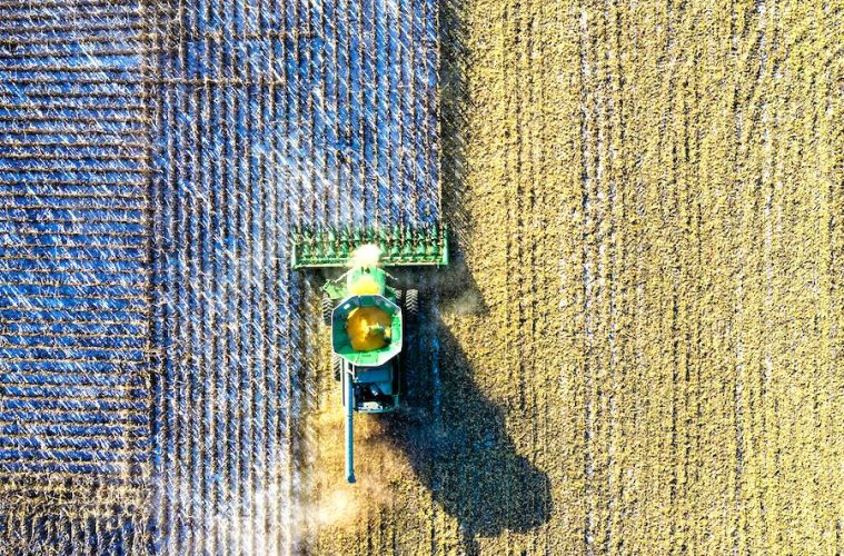 Los datos agrarios, pesqueros y alimentarios, analizados desde la perspectiva económica, social y medioambiental