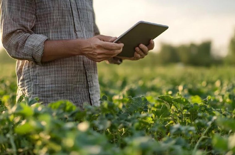 Los retos que el sector agroalimentario español deberá afrontar en los próximos años (Foto Swanlaab)