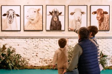 Pastoreo, pop up cultural que acerca el cordero a Madrid Foto Beltrán Casaseca