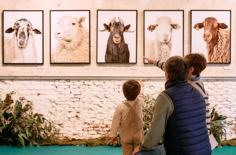 Pastoreo, pop up cultural que acerca el cordero a Madrid Foto Beltrán Casaseca