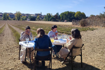A punto de conocer la mejor miel de apicultor de España