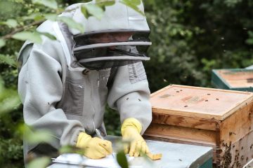 Ayudas a la investigación en el sector apícola, una necesidad urgente