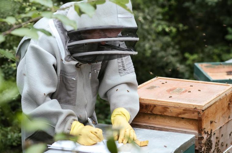 Ayudas a la investigación en el sector apícola, una necesidad urgente