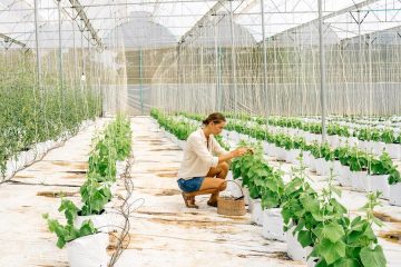 Claves para emprender e innovar en el mundo rural