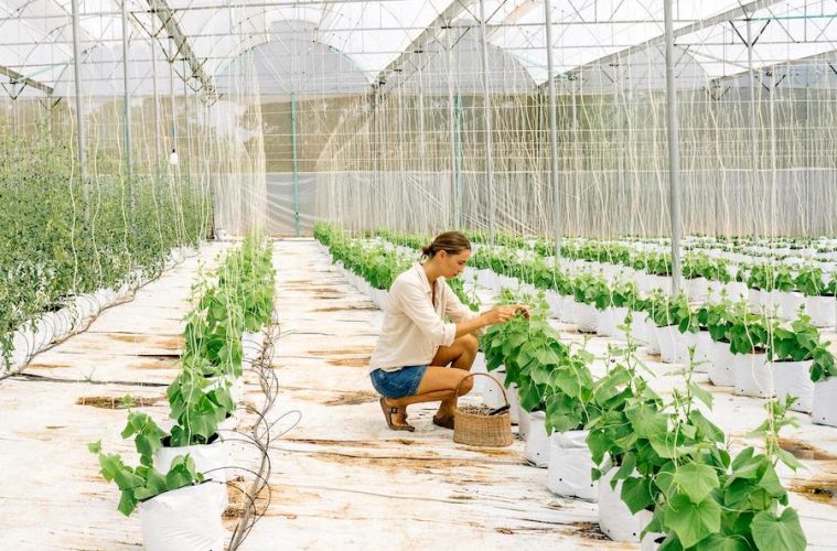 Claves para emprender e innovar en el mundo rural