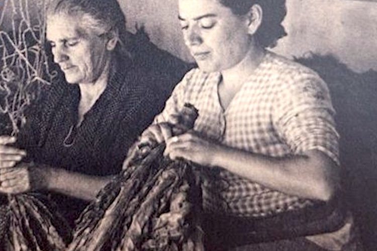 Exposición ‘La mujer en el campo del blanco y negro al color’ Foto MAPA