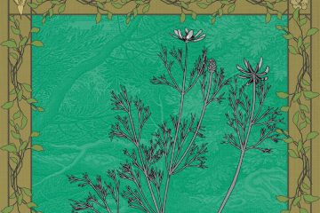 Hierbas y plantas de hace siglos que revelan sus poderes curativos hoy