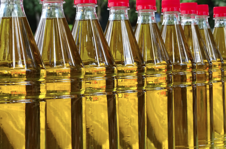 La cosecha de aceite de oliva permite prever estabilidad, en producción y precio