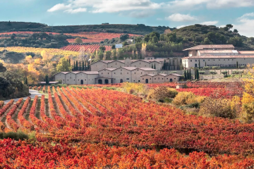Las mejores bodegas del mundo, según Forbes (Foto Marqués de Murrieta)