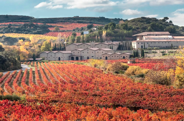 Las mejores bodegas del mundo, según Forbes (Foto Marqués de Murrieta)