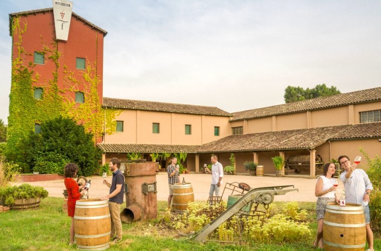 Noviembre, un mes entero Catando Somontano (Foto Ruta del Vino Somontano)