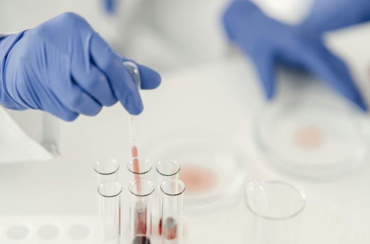 Ante las dudas sobre el origen de la peste porcina, el Ministerio abre una nueva investigación