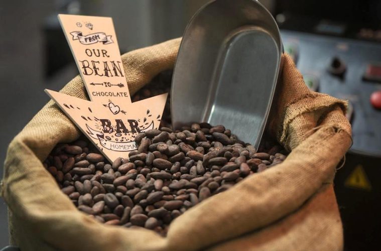 El precio mundial del cacao baja