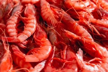 Estas navidades tendremos 9 toneladas más de gamba roja (Foto MAPA)