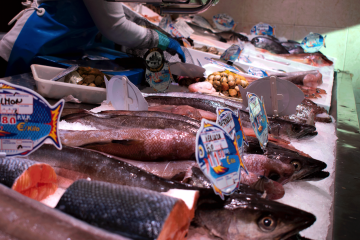 Reacciones del comercio alimentario a la moratoria de la entrada en vigor de Verifactu Foto Fedepesca