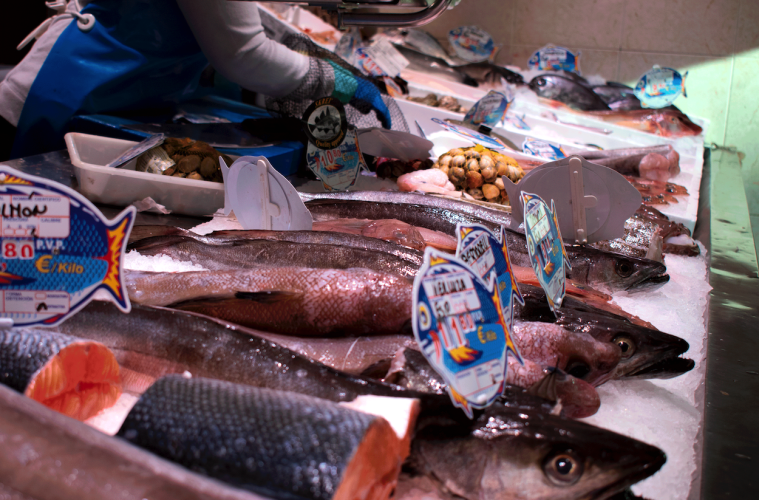 Reacciones del comercio alimentario a la moratoria de la entrada en vigor de Verifactu Foto Fedepesca