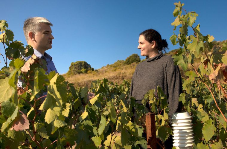Se buscan startups y granjas para probar sobre el terreno nuevas tecnologías agroalimentarias