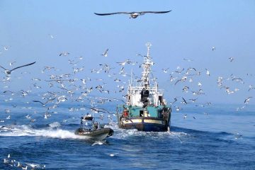 El Reglamento de Control de la Pesca se flexibiliza para facilitar su aplicación Foto MAPA
