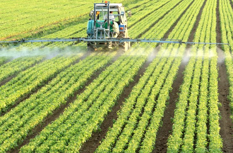 Los planes del Ministerio de Agricultura, Pesca y Alimentación para 2026