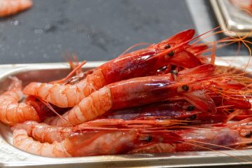 Nueva edición del Concurso de Cocina Creativa de la Gamba Roja de Dénia (Foto Concurso)