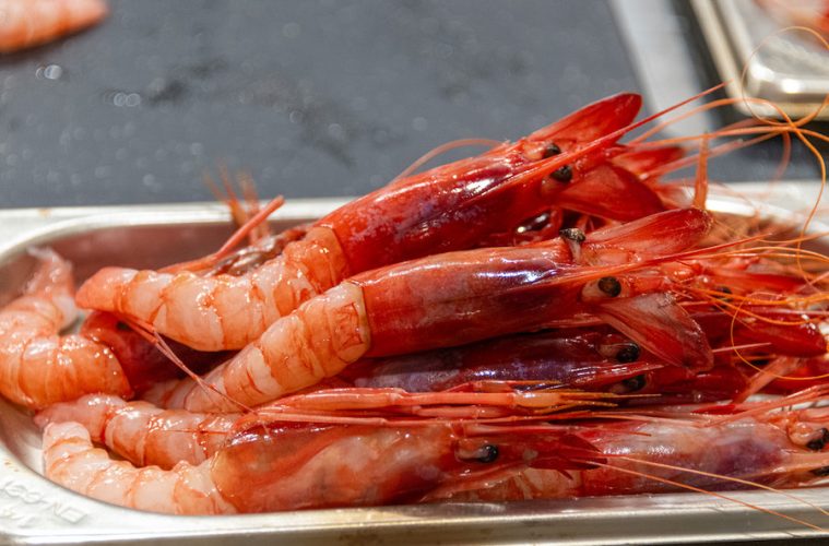 Nueva edición del Concurso de Cocina Creativa de la Gamba Roja de Dénia (Foto Concurso)