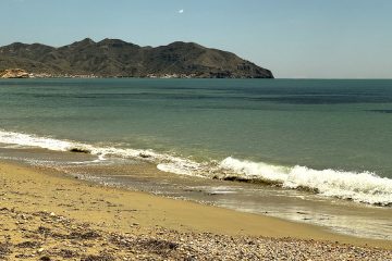 Sobre el impacto de los envases plásticos en la biodiversidad marina Foto ACODEA