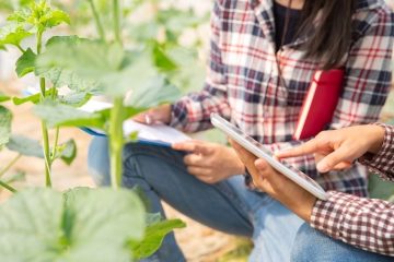 Tendencias, oportunidades y retos que marcarán el sector agrícola en 2026