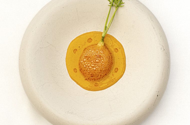 Zanahoria: escabeche-codorniz-vino, el mejor escabeche de España