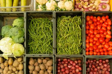 El Parlamento Europeo aprueba cláusulas de salvaguarda de la agricultura en el acuerdo con Mercosur