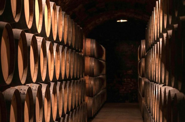 El Plan Estratégico del sector del vino hasta 2028