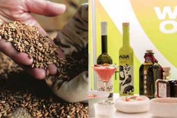 Este año, World Olive Oil Exhibition y Origin Natura se celebrarán conjuntamente en Madrid