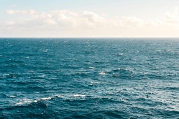 Qué sabemos de lo que comemos del mar