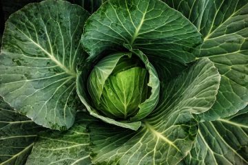 Recetas con verduras de Europa del Este