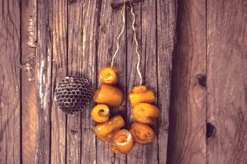 Rollitos de piel de naranja en almíbar