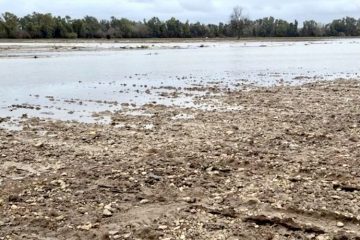 Ya se pueden comunicar, para su reparación, los daños de las borrascas en caminos agrarios y regadíos (Foto MAPA)