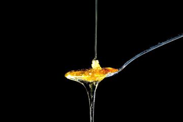 A punto la Feria Apícola Internacional de Pastrana, la más antigua de España