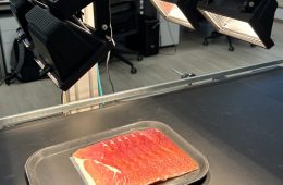 Imagen hiperespectral para mejorar el control de calidad y la seguridad alimentaria en productos cárnicos (Foto Vitartis)