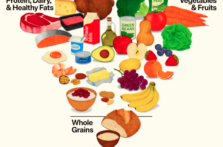 La nueva pirámide nutricional USA, más proteínas y grasa animal, menos legumbres y vegetales (Foto Official website of the United States government)