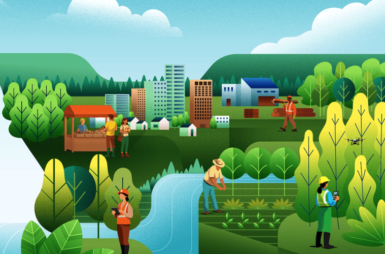 Los bosques, motor de prosperidad económica y bienestar social (Foto FAO)