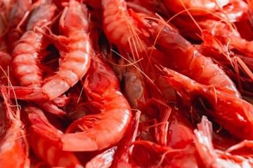 Modificaciones en las cuotas de pesca de gamba roja en el Mediterráneo (Foto MAPA)