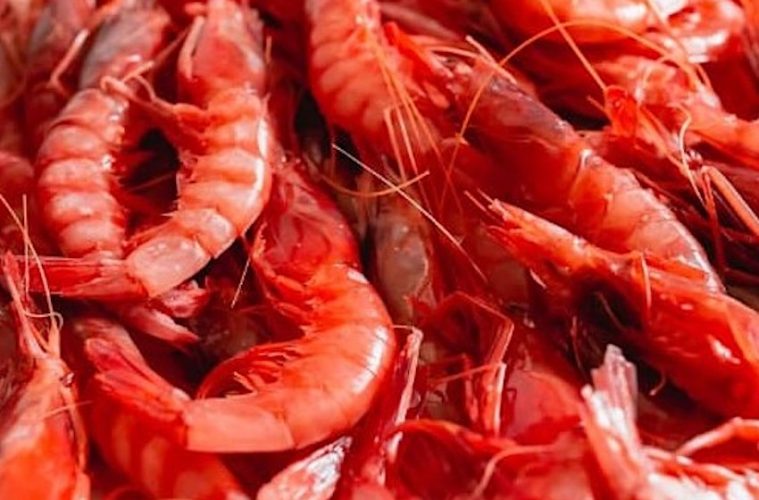 Modificaciones en las cuotas de pesca de gamba roja en el Mediterráneo (Foto MAPA)
